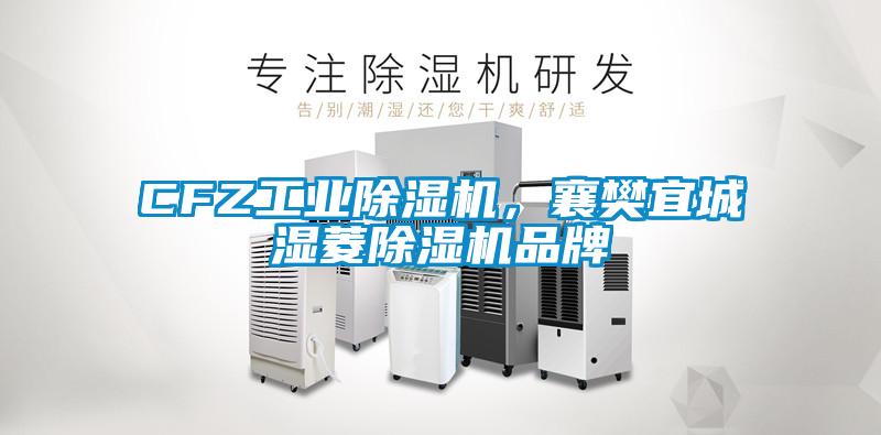 CFZ工業(yè)除濕機(jī)，襄樊宜城濕菱除濕機(jī)品牌