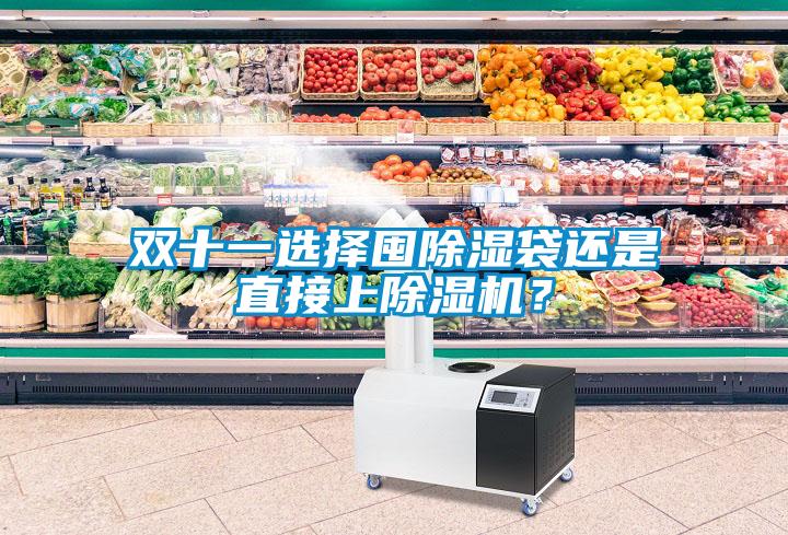 雙十一選擇囤除濕袋還是直接上除濕機？