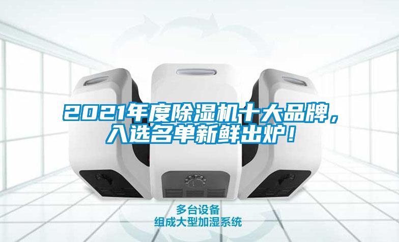 2021年度除濕機十大品牌，入選名單新鮮出爐！