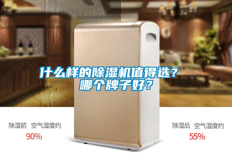 什么樣的除濕機值得選？ 哪個牌子好？