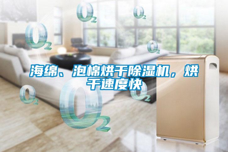 海綿、泡棉烘干除濕機(jī)，烘干速度快