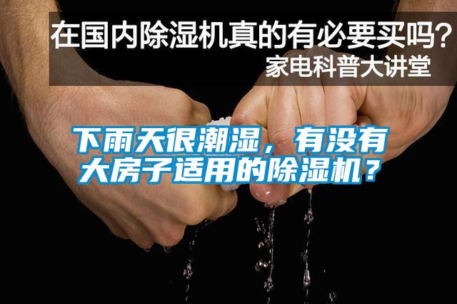 下雨天很潮濕，有沒(méi)有大房子適用的除濕機(jī)？