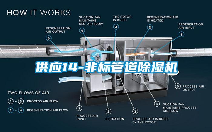 供應(yīng)14-非標管道除濕機