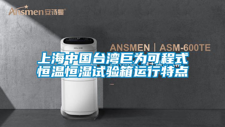上海中國臺灣巨為可程式恒溫恒濕試驗箱運(yùn)行特點