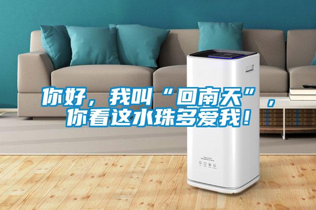 你好，我叫“回南天”，你看這水珠多愛我！