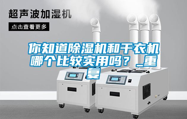 你知道除濕機(jī)和干衣機(jī)哪個(gè)比較實(shí)用嗎？_重復(fù)