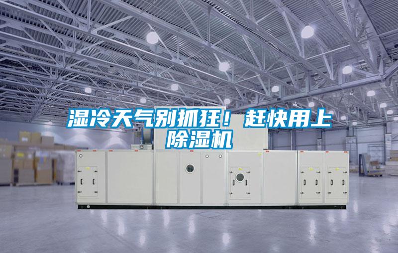 濕冷天氣別抓狂！趕快用上除濕機