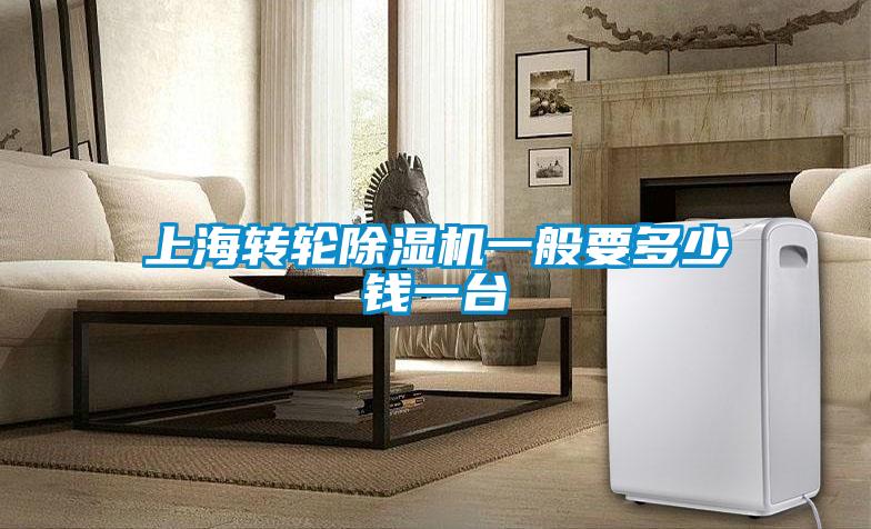 上海轉(zhuǎn)輪除濕機一般要多少錢一臺