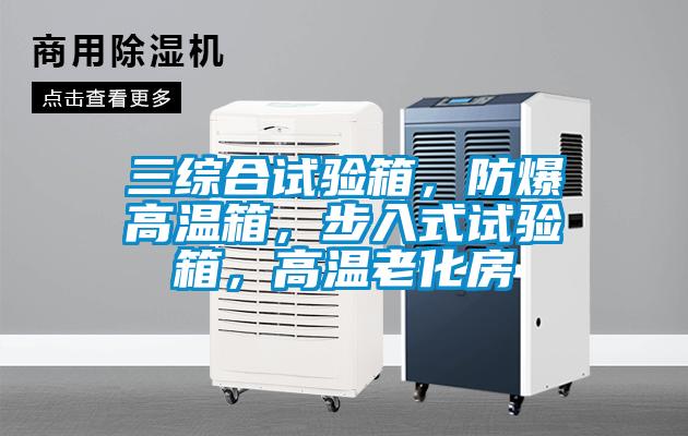 三綜合試驗(yàn)箱，防爆高溫箱，步入式試驗(yàn)箱，高溫老化房