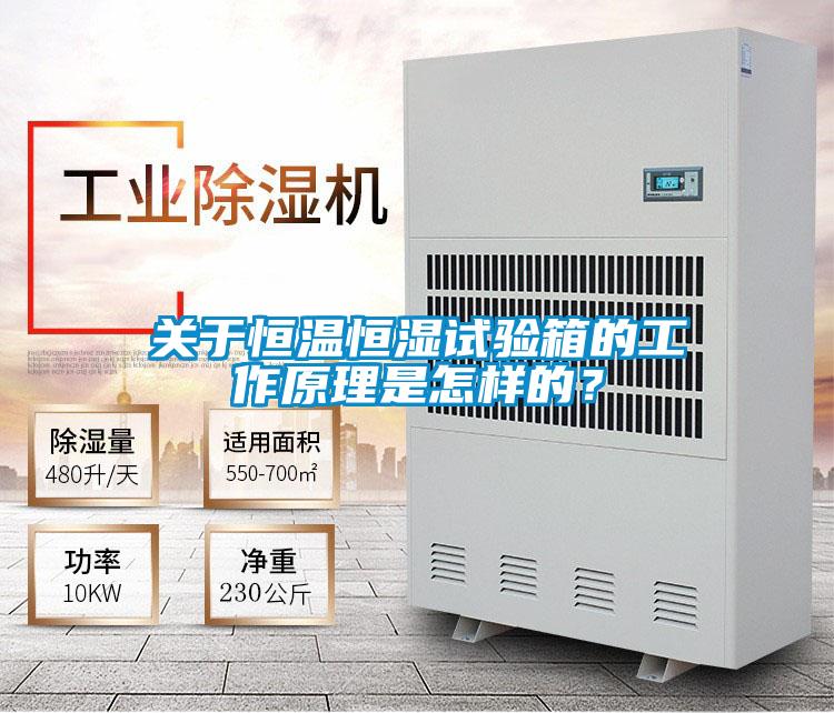關(guān)于恒溫恒濕試驗(yàn)箱的工作原理是怎樣的？