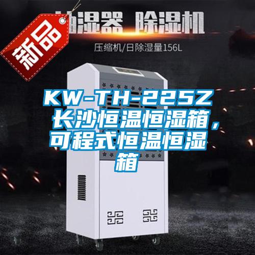 KW-TH-225Z 長沙恒溫恒濕箱，可程式恒溫恒濕箱