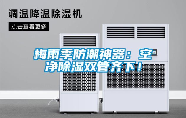 梅雨季防潮神器：空凈除濕雙管齊下！
