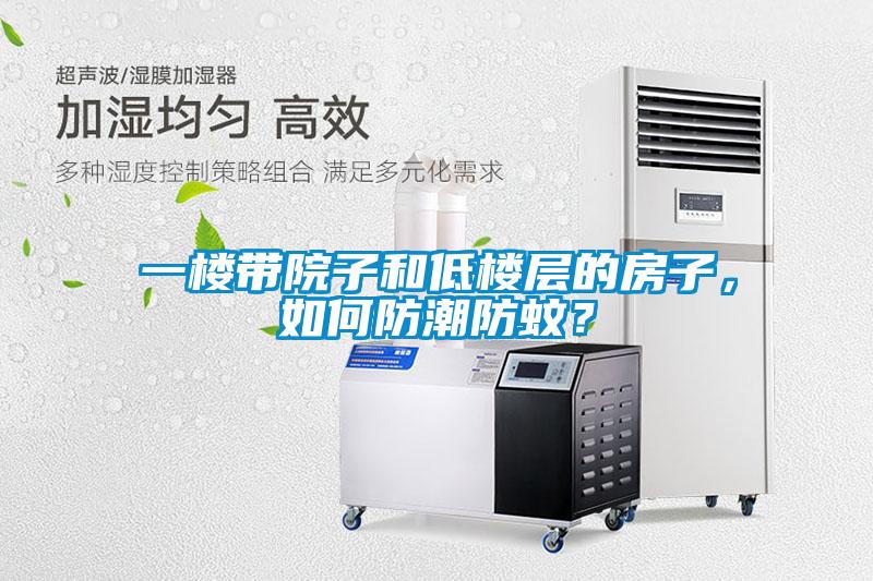 一樓帶院子和低樓層的房子，如何防潮防蚊？