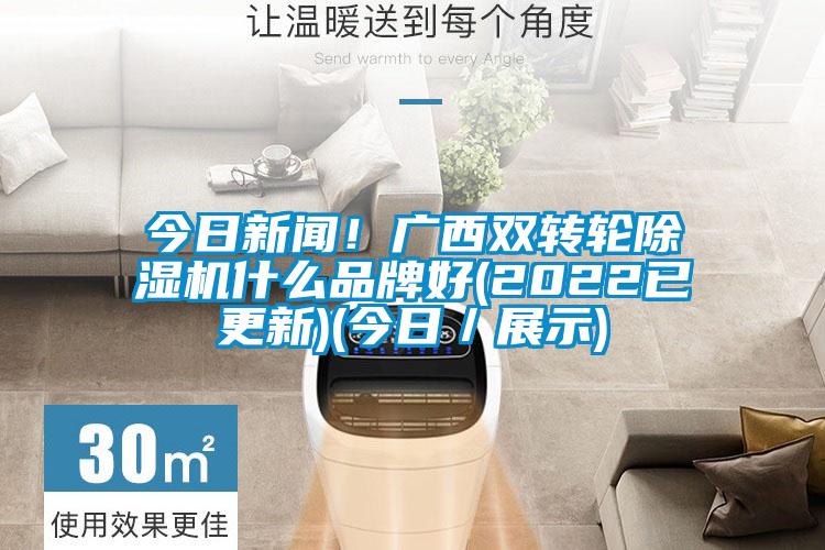 今日新聞！廣西雙轉(zhuǎn)輪除濕機(jī)什么品牌好(2022已更新)(今日／展示)