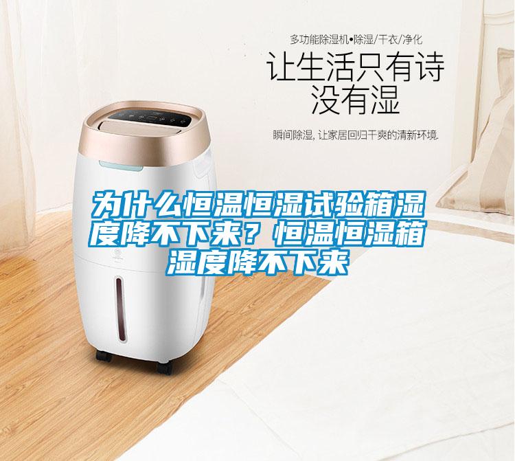 為什么恒溫恒濕試驗(yàn)箱濕度降不下來(lái)？恒溫恒濕箱濕度降不下來(lái)