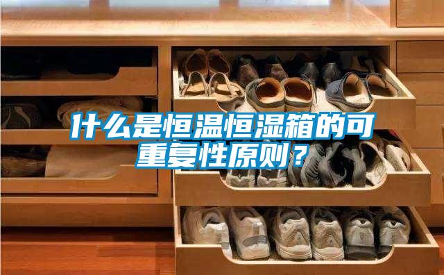 什么是恒溫恒濕箱的可重復(fù)性原則？