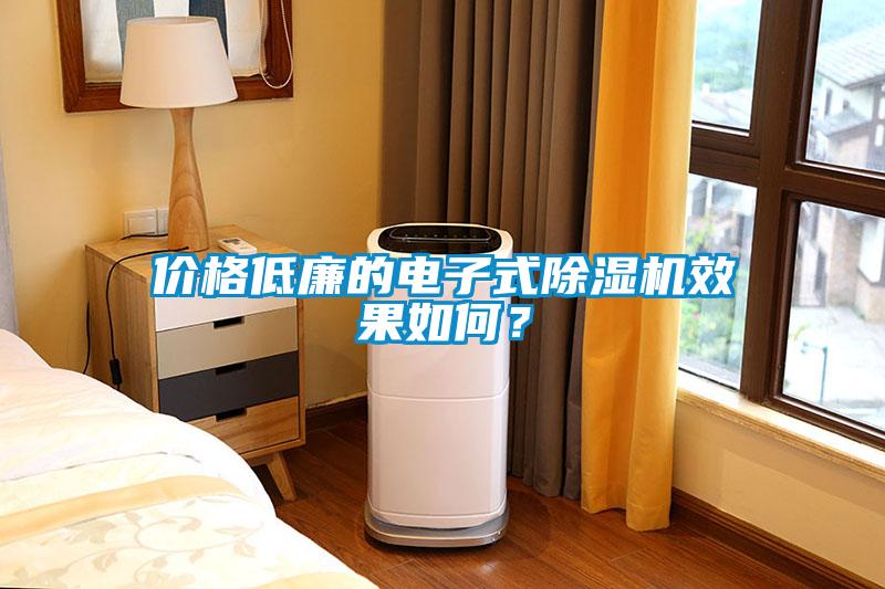 價格低廉的電子式除濕機效果如何？