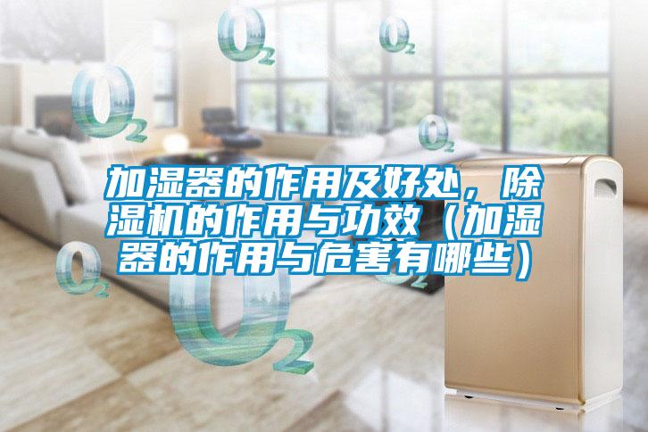 加濕器的作用及好處，除濕機的作用與功效（加濕器的作用與危害有哪些）