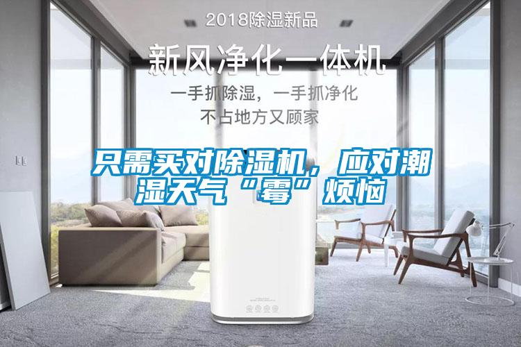 只需買(mǎi)對(duì)除濕機(jī)，應(yīng)對(duì)潮濕天氣“霉”煩惱