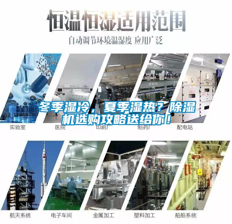 冬季濕冷，夏季濕熱？除濕機選購攻略送給你！