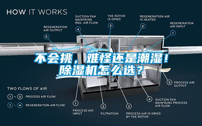 不會挑，難怪還是潮濕！除濕機怎么選？