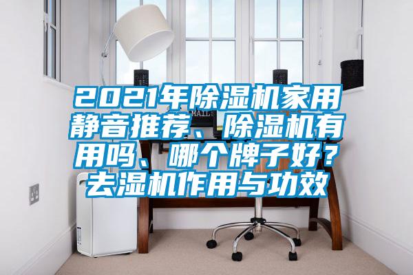 2021年除濕機家用靜音推薦、除濕機有用嗎、哪個牌子好？去濕機作用與功效
