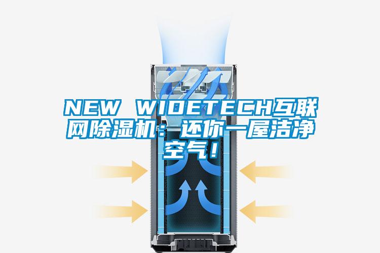 NEW WIDETECH互聯(lián)網(wǎng)除濕機(jī)：還你一屋潔凈空氣！