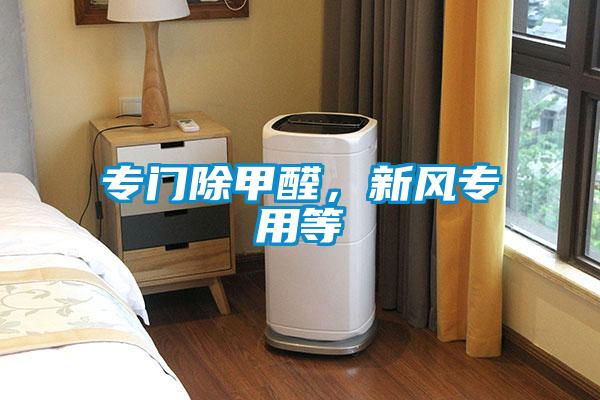 專門除甲醛，新風(fēng)專用等