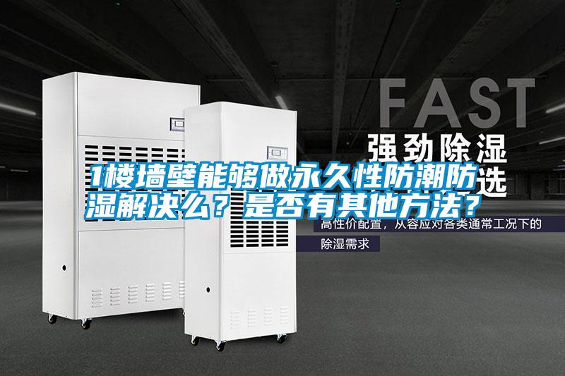 1樓墻壁能夠做永久性防潮防濕解決么？是否有其他方法？