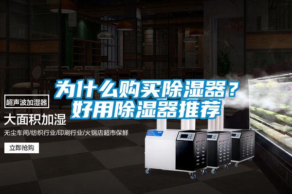 為什么購買除濕器？好用除濕器推薦