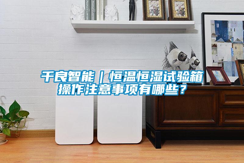 千良智能｜恒溫恒濕試驗(yàn)箱操作注意事項(xiàng)有哪些？