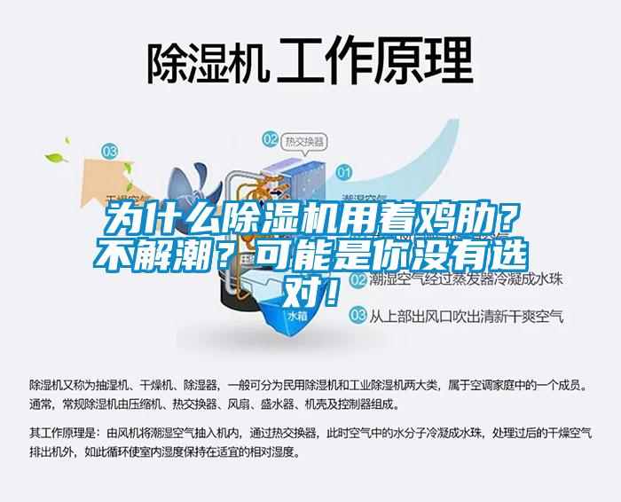 為什么除濕機(jī)用著雞肋？不解潮？可能是你沒有選對！