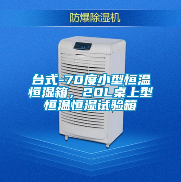 臺式-70度小型恒溫恒濕箱，20L桌上型恒溫恒濕試驗箱