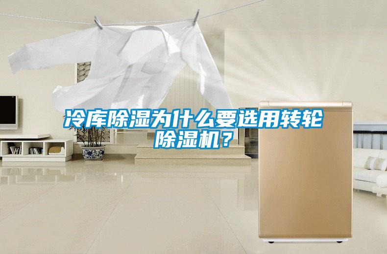 冷庫(kù)除濕為什么要選用轉(zhuǎn)輪除濕機(jī)？