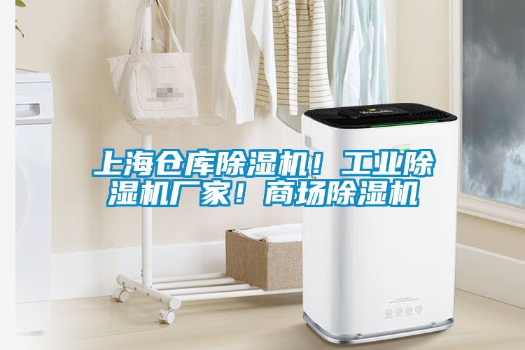 上海倉(cāng)庫除濕機(jī)！工業(yè)除濕機(jī)廠家！商場(chǎng)除濕機(jī)