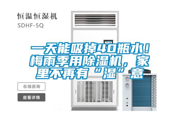 一天能吸掉40瓶水！梅雨季用除濕機(jī)，家里不再有“濕”意