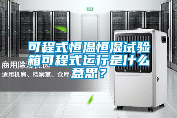 可程式恒溫恒濕試驗(yàn)箱可程式運(yùn)行是什么意思？