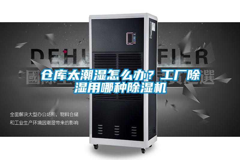 倉庫太潮濕怎么辦？工廠除濕用哪種除濕機