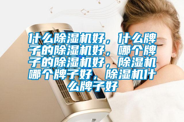 什么除濕機好，什么牌子的除濕機好，哪個牌子的除濕機好，除濕機哪個牌子好，除濕機什么牌子好