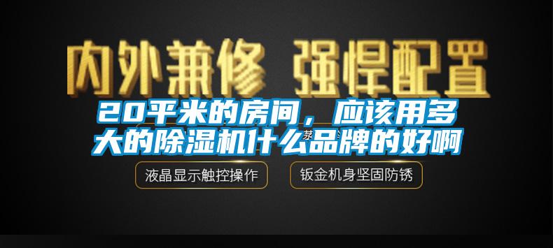 20平米的房間，應該用多大的除濕機什么品牌的好啊