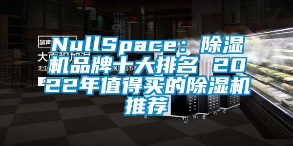 NullSpace：除濕機(jī)品牌十大排名 2022年值得買(mǎi)的除濕機(jī)推薦