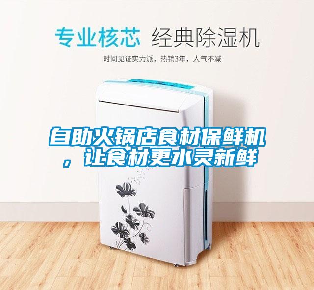 自助火鍋店食材保鮮機，讓食材更水靈新鮮