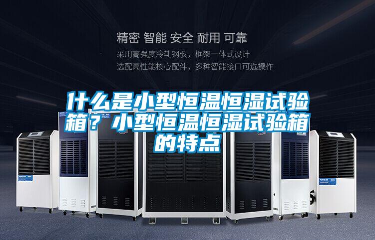 什么是小型恒溫恒濕試驗(yàn)箱？小型恒溫恒濕試驗(yàn)箱的特點(diǎn)