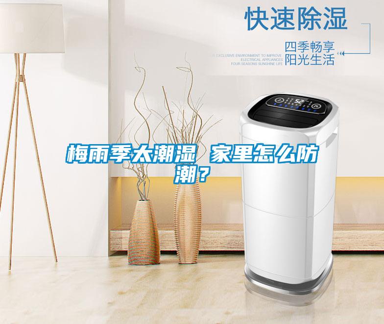 梅雨季太潮濕 家里怎么防潮？