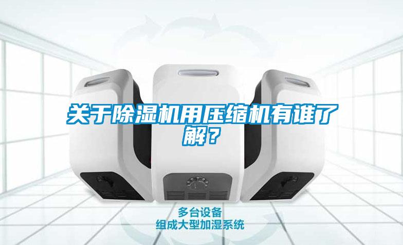 關(guān)于除濕機(jī)用壓縮機(jī)有誰了解？