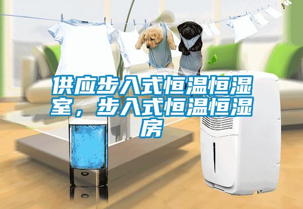 供應(yīng)步入式恒溫恒濕室，步入式恒溫恒濕房