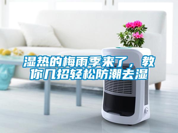 濕熱的梅雨季來(lái)了，教你幾招輕松防潮去濕