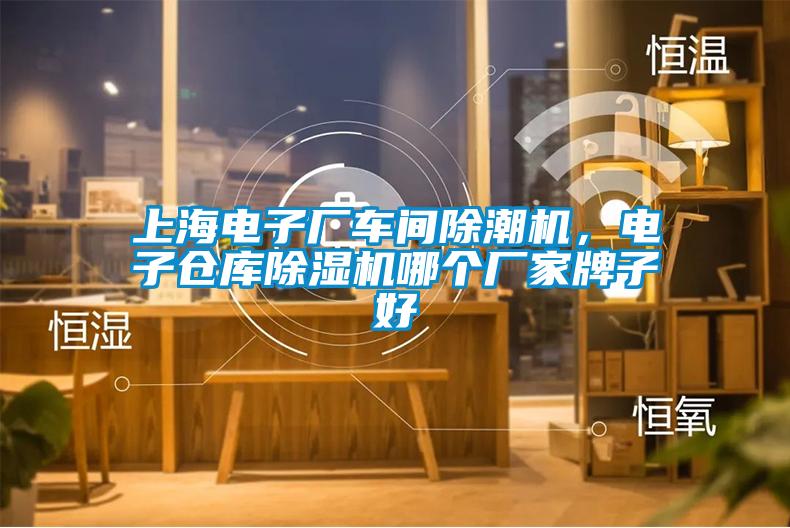 上海電子廠車間除潮機(jī)，電子倉庫除濕機(jī)哪個廠家牌子好