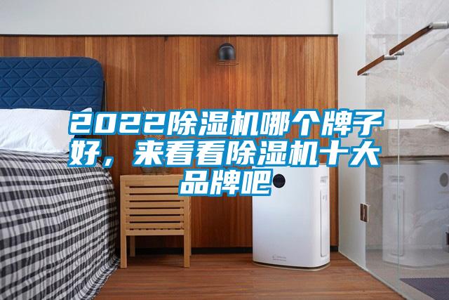 2022除濕機(jī)哪個牌子好，來看看除濕機(jī)十大品牌吧