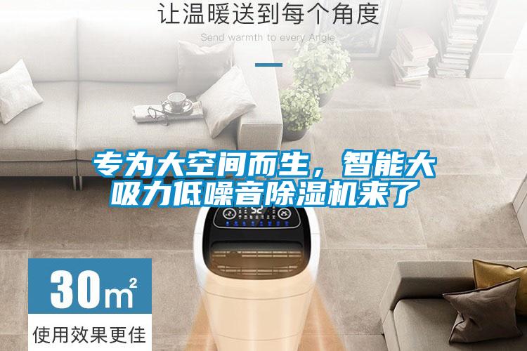 專(zhuān)為大空間而生，智能大吸力低噪音除濕機(jī)來(lái)了